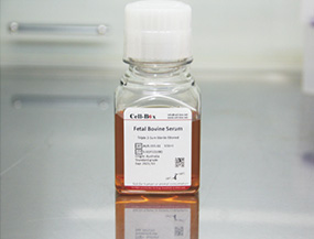 SAG-01P South American Premium Grade Fetal Bovine Serum