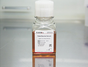 SAG-01U South American Ultra-Low Endotoxin Premium Grade Fetal Bovine Serum