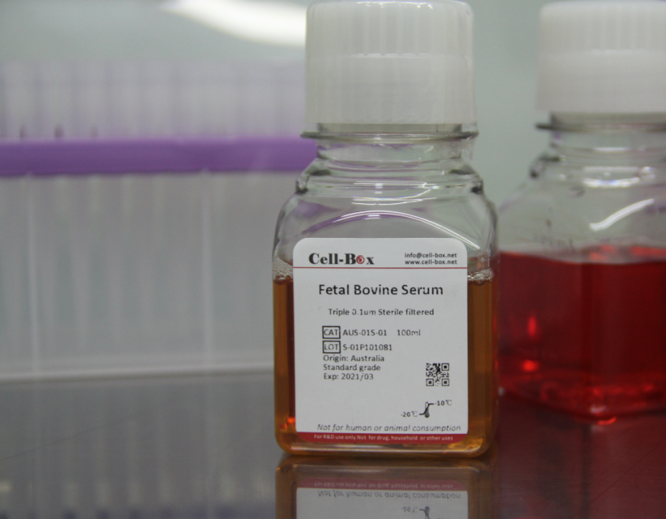 （2）How can fetal bovine serum be stored and defrosted without compromising product quality?