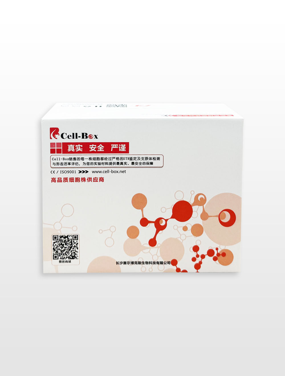 ����������Ƥϸ��HaCaT