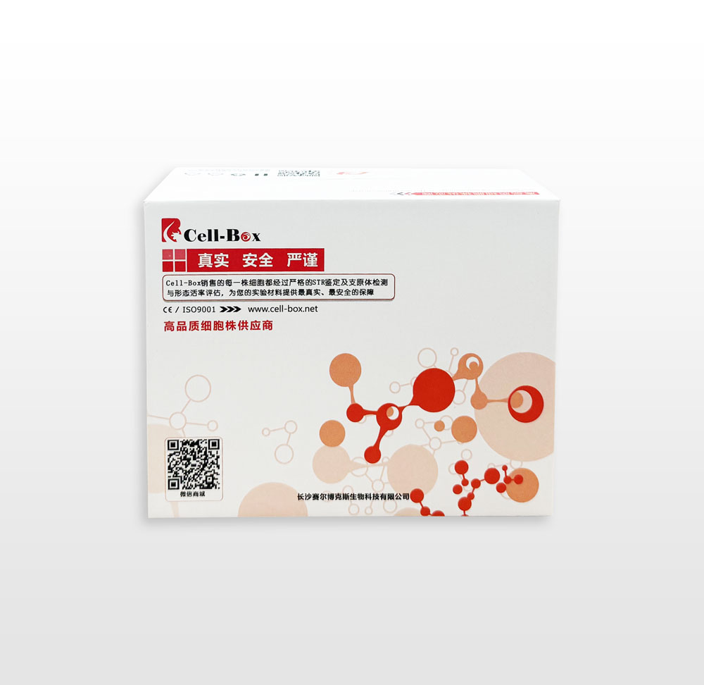 �����ν���ϸ��SVG p12